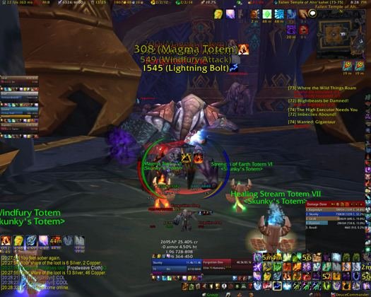 Skunky's totems down in a raid.