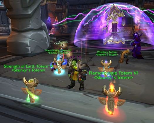 Strength of Earth, Windfury and Flametongue: Skunky's totems in Dalaran.
